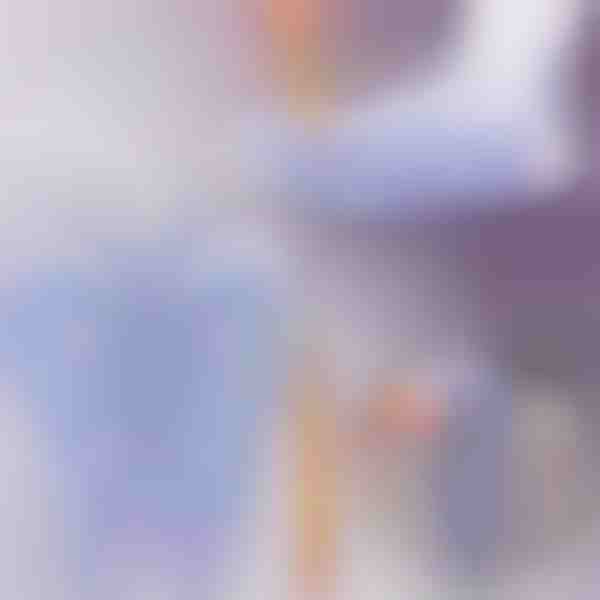 Aktivirajte točke zdravja – refleksološke nogavice za vsakodnevno masažo | FEETRA